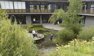 schulteich