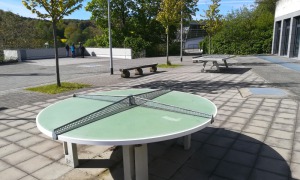 tischtennisplatten