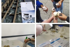 IMG_20220512_120842-COLLAGE