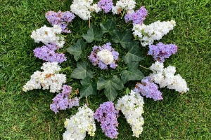 Kunstunterricht in Zeiten von Corona: Land Art - Mandalas
