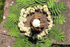 mandala_philip