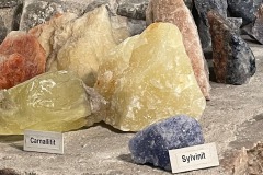 merkers22_06