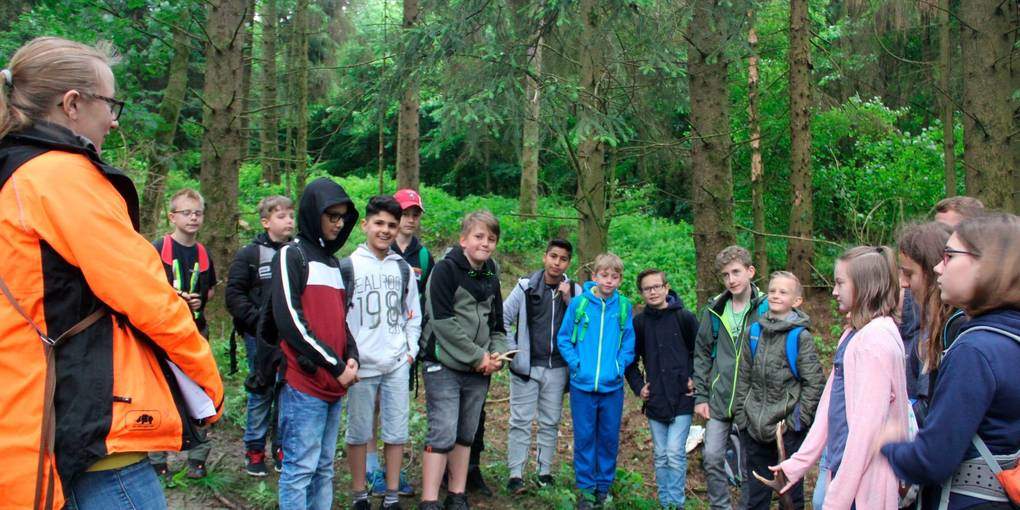 Schüler lernen in Riedelbach über Bäume und Klima